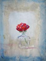 Flower Paintings - Red Ranunculus - Casein On Paper